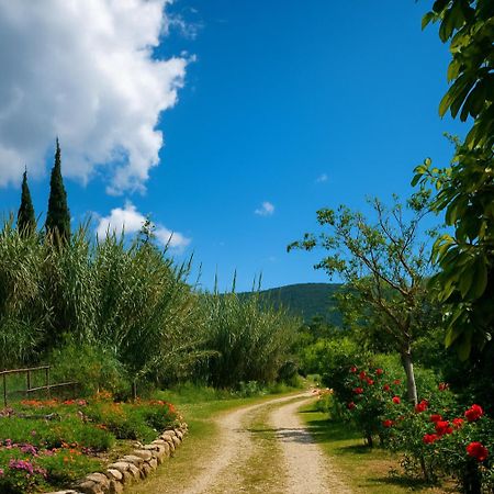 Rodanthy Studios IV Κατελειός Εξωτερικό φωτογραφία