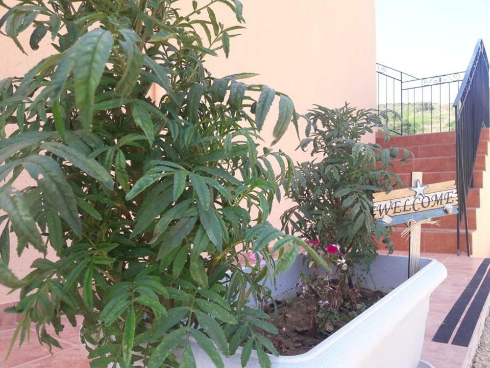 Rodanthy Studios IV Κατελειός Εξωτερικό φωτογραφία
